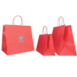 25x15x24+6 25x15x24+6 CM | SAFARI PAPER BAG WIDE BACKGROUND | FLEXO PRINTING IN UN COLORESU ENTRAMBI I LATI | CARTA KRAFT BIA...