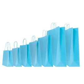 22x10x29 22x10x29 CM | PAPER BAG SAFARI | STAMPA FLEXO A UN COLORE SU AREE PREFISSATE SU ENTRAMBI I LATI