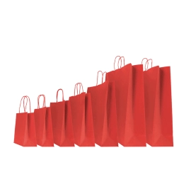 45x15x50 45x15x50 CM | SAC PAPIER SAFARI | IMPRESSION FLEXO EN UNE COULEUR SUR ZONES PRÉDÉFINIES SUR LES 2 FACES