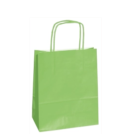 22x10x29 22x10x29 CM | PAPER BAG SAFARI | STAMPA FLEXO A UN COLORE SU AREE PREFISSATE SU ENTRAMBI I LATI