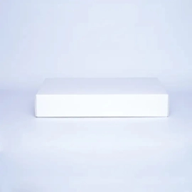 CAMPANA | 52x40x9 CM | LEICHTE BOX MIT DECKEL