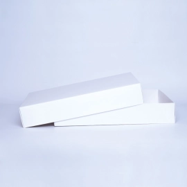 CAMPANA | 40x31x8 CM | LEICHTE BOX MIT DECKEL