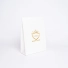 BUSTA IN CARTA NOBLESSE PREMIUM | 22x8x29 CM | BUSTA DI ALTA GAMMA