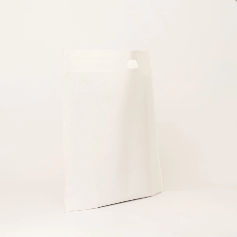 TNT BAG | 50x50 CM | NON-WOVEN FABRIC BAG TNT BAG | 50x50 CM | NON-WOVEN FABRIC BAG