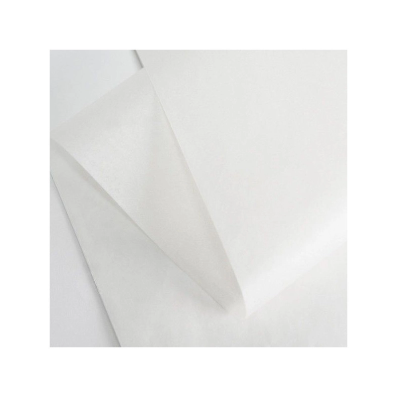 Carta Velina | 100x75 cm